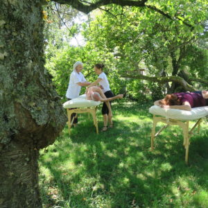 atelier massage dans la nature